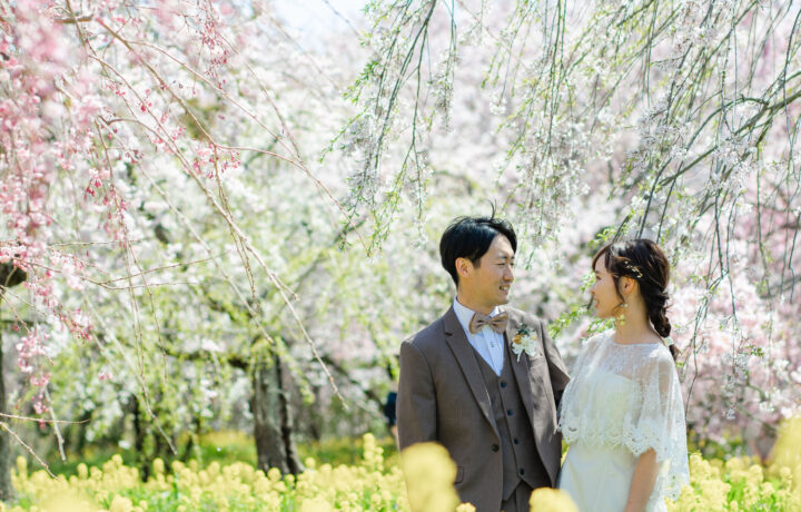 4月の桜フォトウェディングご予約状況