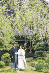 春に和装で新郎新婦が見つめあって撮影している富山フォトウェディング