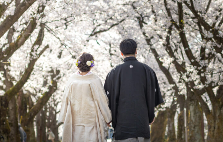 桜と和装【フォトウェディング・前撮り】