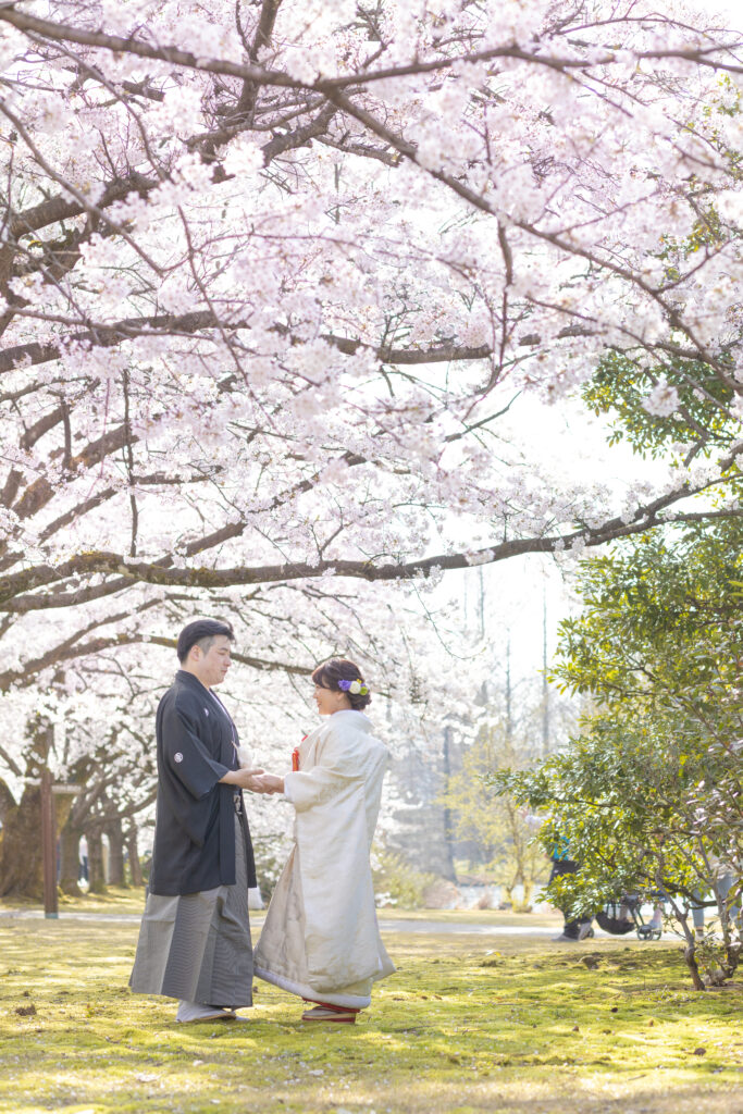 桜と和装の前撮り