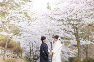富山の寺家公園で桜と一緒に撮影した和装新郎新婦のロケーションんフォトウェディング