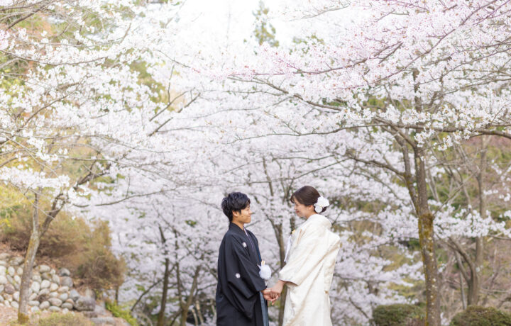 富山フォトウェディング前撮りで春・夏・秋・冬のおすすめロケーションと季節ごとの魅力
