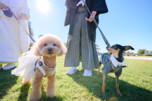 富山のコアラで和装フォトウェディングを行なった新郎新婦が愛犬とフォトウェディング